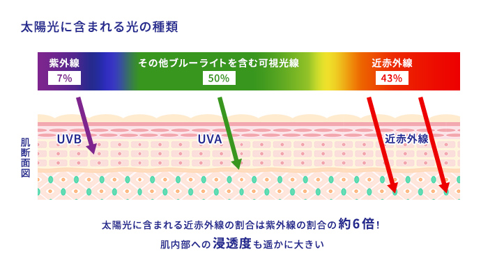 太陽光に含まれる光の種類 太陽光に含まれる近赤外線の割合は紫外線の割合の約6倍！肌内部への浸透度も遥かに大きい